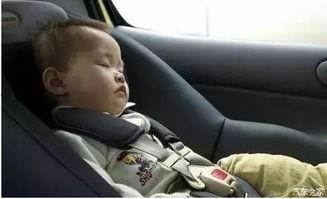 汽车里吃瓜,揭秘汽车里的美食时光