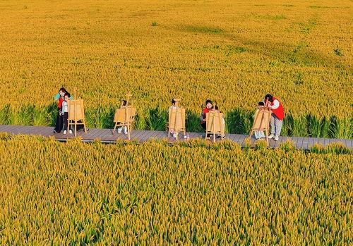 孩子在稻田旁吃瓜,童趣盎然