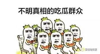 吃瓜为大,吃瓜群众视角下的时代风云录