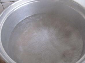 鸡吃方瓜吗,探寻农耕时代的和谐共生