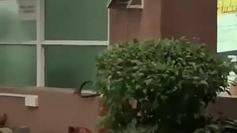 文安最近吃瓜新闻,最新吃瓜新闻大盘点