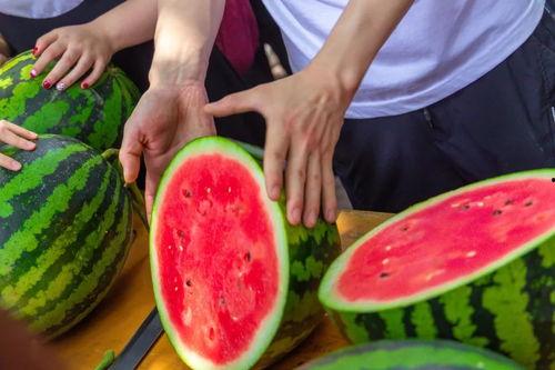 大学椅子吃瓜,揭秘校园里的闲聊文化