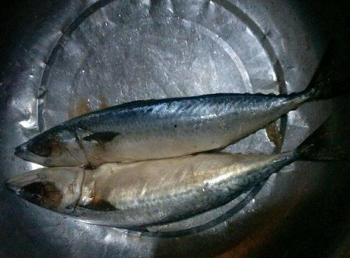 晚上做梦吃鲅鱼瓜,探寻美食与梦境的奇妙交融