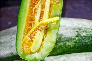 吃瓜网红爆料,娱乐圈惊天大瓜，揭秘明星背后惊人真相！