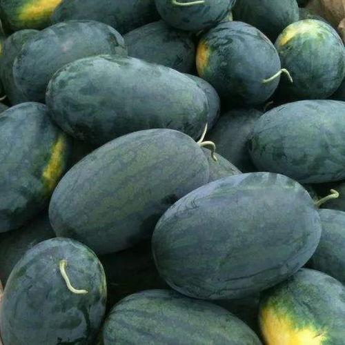 武汉英才吃瓜,揭秘“吃瓜”背后的故事与启示