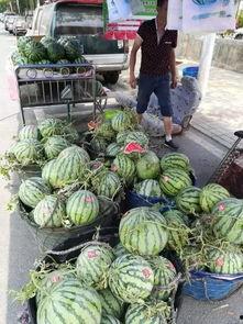 沈阳工作吃瓜事件,揭秘职场八卦背后的真相