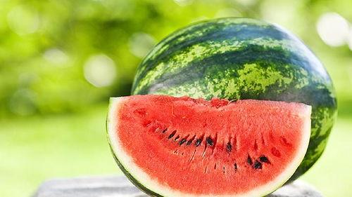 西瓜会吃瓜,品味夏日甜蜜诱惑