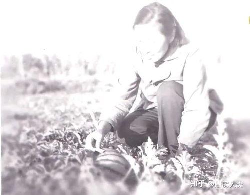 吃瓜祖母,揭秘娱乐圈背后的温馨故事