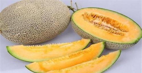 哈密瓜生瓜怎么吃,解锁生瓜美味新境界