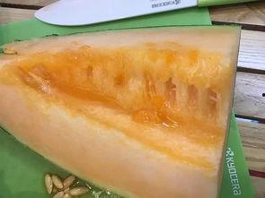 广西柳州吃瓜群,揭秘柳州街头美食风云录