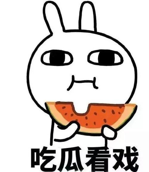 淋大雨吃瓜,一场突如其来的雨中瓜界盛宴