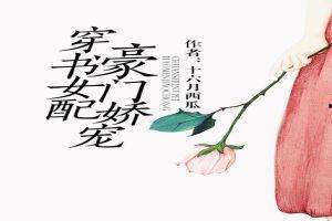 穿书围观吃瓜小说,围观吃瓜日常