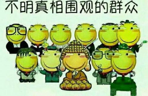 吃瓜群众宠物模板,揭秘萌宠圈的热门话题与趣味瞬间