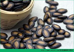 瓢子瓜孕妇可以吃吗,营养与安全的双重保障