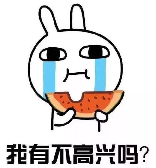 居居吃瓜,揭秘娱乐圈那些不为人知的幕后故事