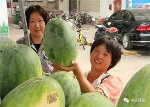 小区吃瓜事件揭秘