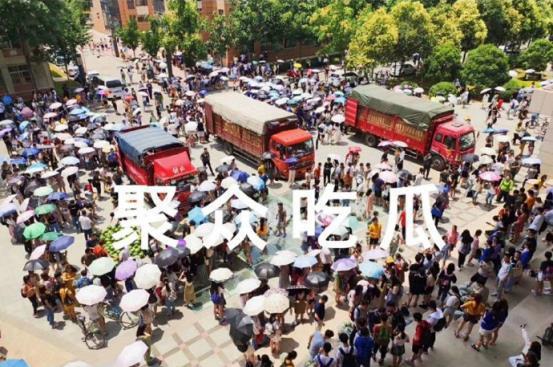 邯郸吃瓜学院,揭秘校园里的“瓜田”趣事