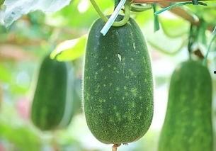 天天热吃瓜,揭秘娱乐圈幕后故事