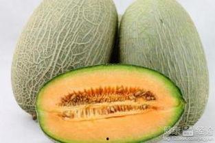 果蝇吃哈密瓜,探寻昆虫与水果的奇妙邂逅